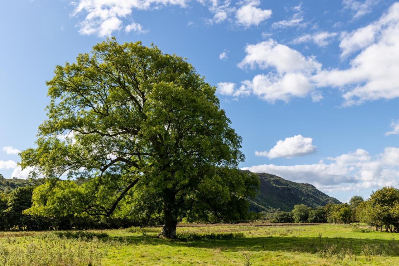 Bower House Gasthof Eskdale